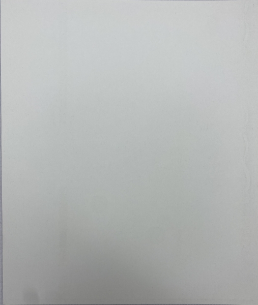 Ікона Нерукотворний Образ 24х20см