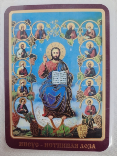Ламінована ікона Христос Лоза Істинна