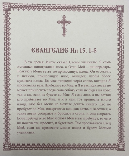 Ікона Христос Лоза Істинна 15х18см 