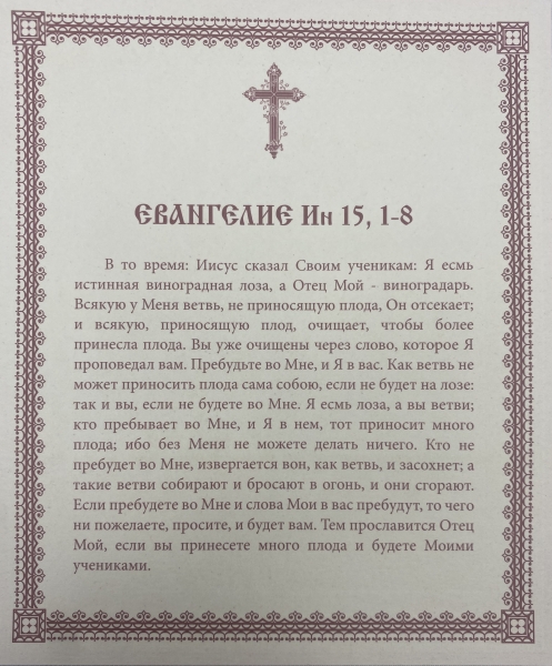 Ікона Христос Лоза Істинна 15х18см 