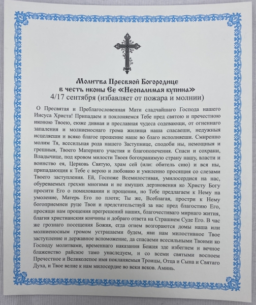 Ікона Богородиці "Неопалима Купина" 24х20см