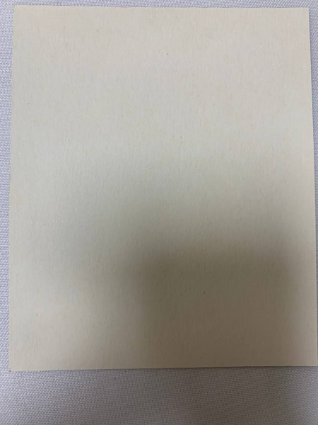 Ікона св. муч. Раїса