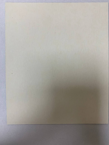 Ікона св. муч. Зоя