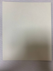 Ікона св. вмч. Анастасія